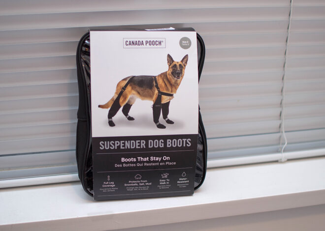 Canada Pooch Suspender Boots Review