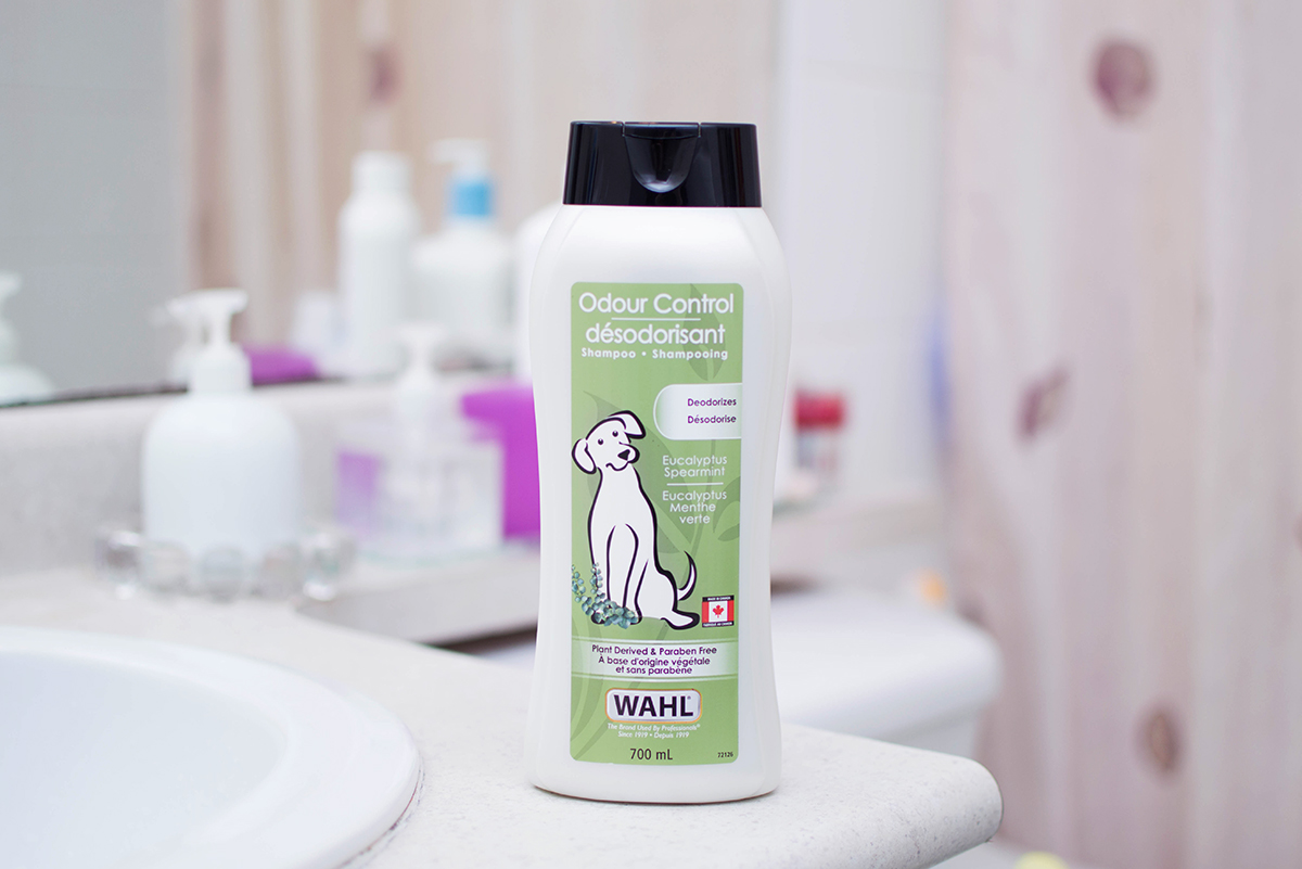 Keeping Your Pup Clean: A Wahl Dog Shampoo Review