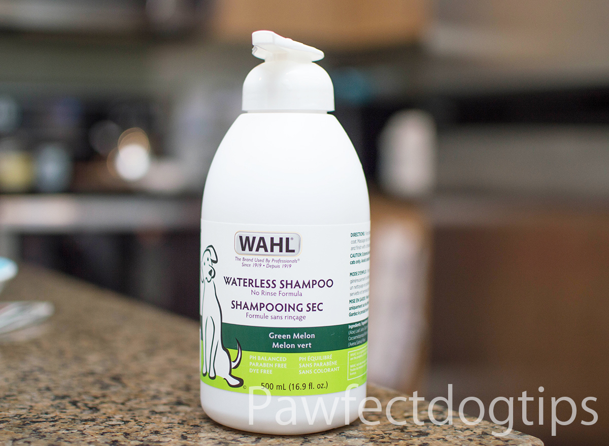 WAHL Waterless Dog Shampoo Review