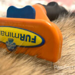 Is the Furminator Good For Dogs? An In-Depth Review